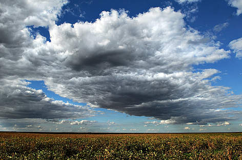 Large soy (Glycine max) monoculture and a cloudy sky, in the region of Roda Velha, Bahia, Brazil. / ©: Adriano Gambarini / WWF-Brazil Soja Landbrug / ©: Adriano Gambarini / WWF-Brazil